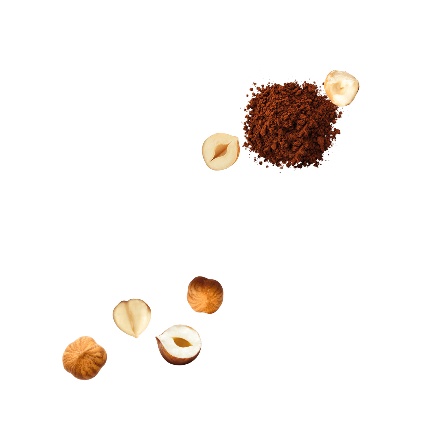 Choc Hazelnut BC Snacks